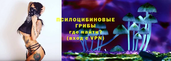 2c-b Новокубанск