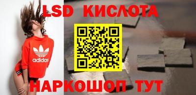 прущие крисы Бийск