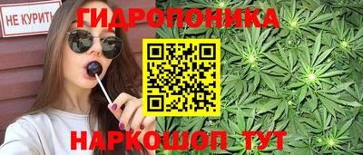 Альфа ПВП Аргун
