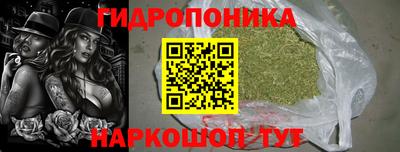Альфа ПВП Аргун