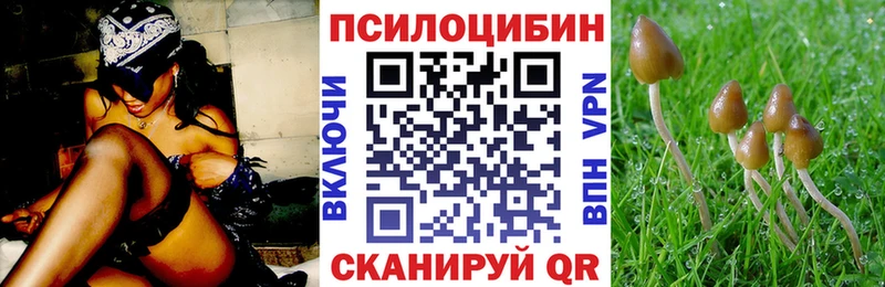гидра зеркало  купить закладку  Москва  Галлюциногенные грибы Magic Shrooms 