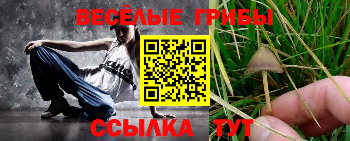 Псилоцибиновые грибы прущие грибы  Вход с VPN  Москва 