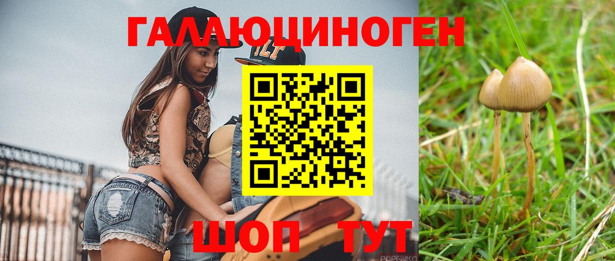 Галлюциногенные грибы ЛСД Москва