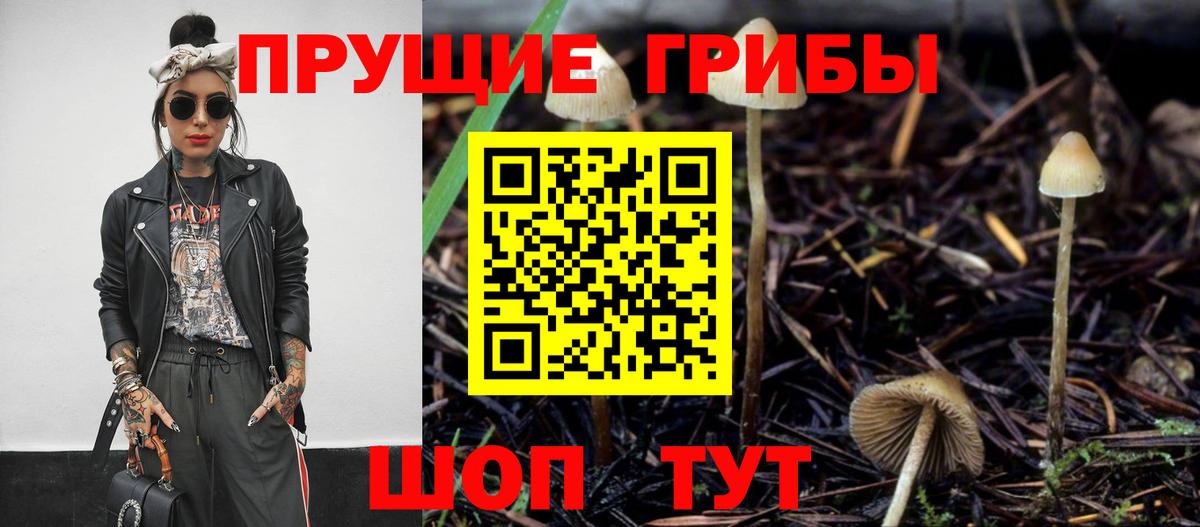 Галлюциногенные грибы GOLDEN TEACHER  как найти наркотики  Псилоцибиновые грибы MAGIC MUSHROOMS  Москва 